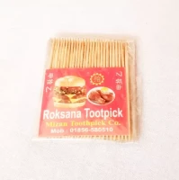 Tooth Pick 60 Pcs Pack-Muskan