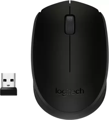 Logitech Wireless  Black Mouse M170