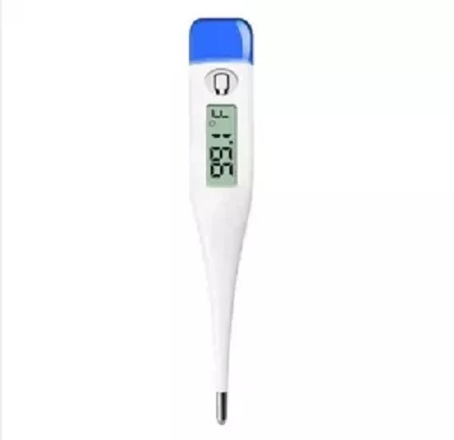 Digital Thermometer