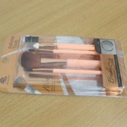 5 PC Brush for Makeup