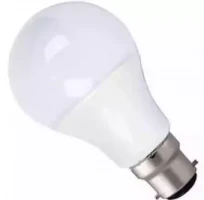 Energy Saving LED Bulb 2 Pieces 20 Watt (Pin System)