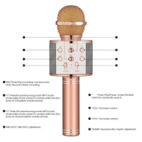 Wireless Karaoke Microphone ws 858