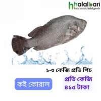 কই কোরাল- ১-৩ কেজি প্রতি পিচ