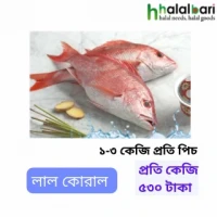 লাল কোরাল- ১-৩ কেজি প্রতি পিচ