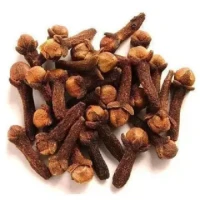 Dry Clove Spice Lobongo লবঙ্গ - 25 gm