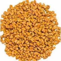 Fenugreek Seed -Methi মেথি - 250gm