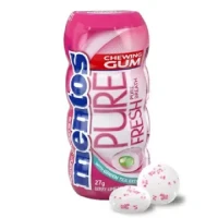 Mentos Pure Fresh Berry Lime Mint Pocket Bottle 29gm (Sugarr Free)