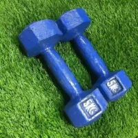 Dumbbell Set 10kg (5kg 5kg) - Blue