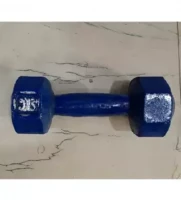 5 KG BLUE DUMBLE 1 PIS