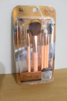 5 PC Brush for Makeup