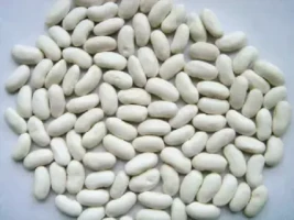 White Kidney Beans (Rajma) 500 gm