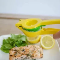 Lemon Squeezer -Multi-Color